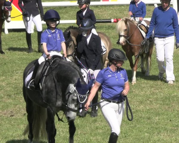 Reitturnier Pennigbüttel 2023