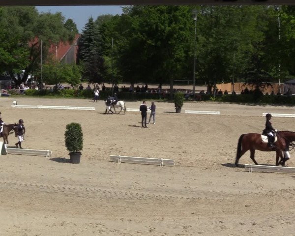 Reitturnier Bochum 2023