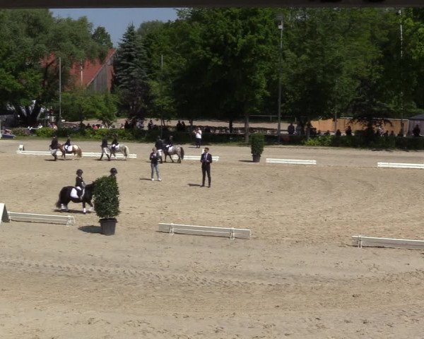 Reitturnier Bochum 2023