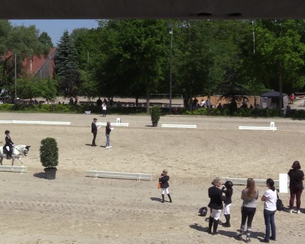 Reitturnier Bochum 2023