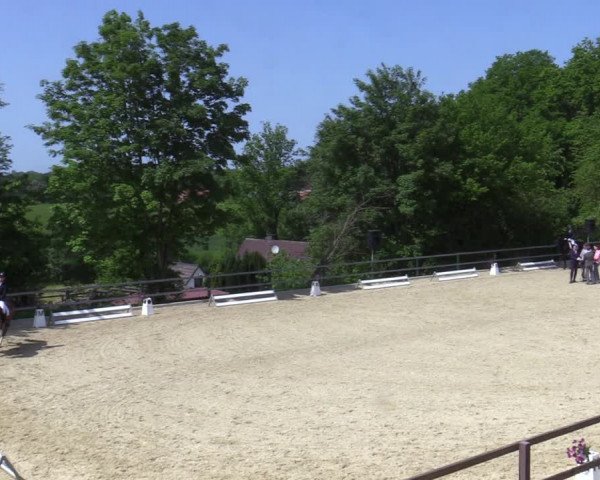 Reitturnier Iserlohn-Kalthof 2023