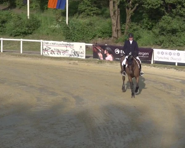 Reitturnier Siegen-Weidenau 2023