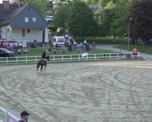 Reitturnier Siegen-Weidenau 2023