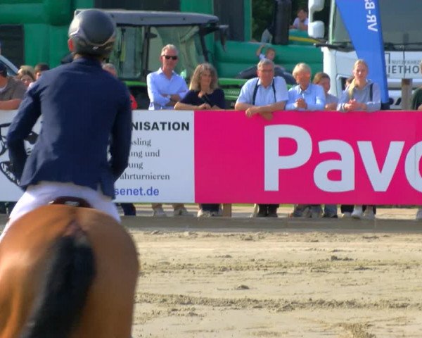 Reitturnier Borken Reitanlage Sportpferde Ehning 2023