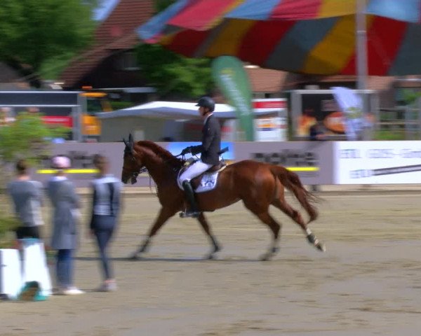 Reitturnier Borken Reitanlage Sportpferde Ehning 2023