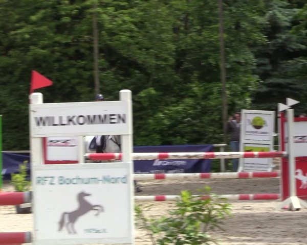Reitturnier Bochum 2023