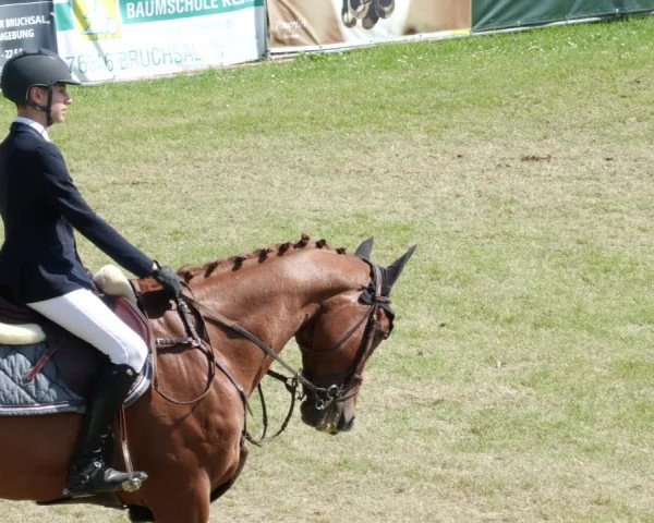 Reitturnier Forst 2023