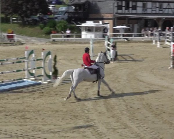 Reitturnier Siegen-Weidenau 2023