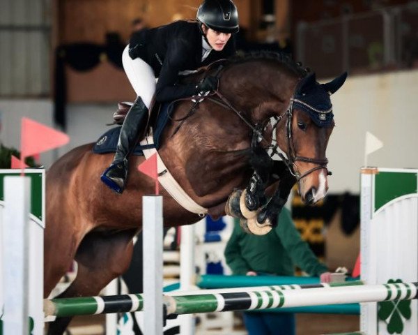 jumper Charmeur 480 (Zweibrücken, 2010, from Cassian)