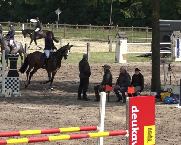 Reitturnier Mettingen 2023