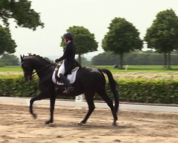 Reitturnier Seppenrade 2023