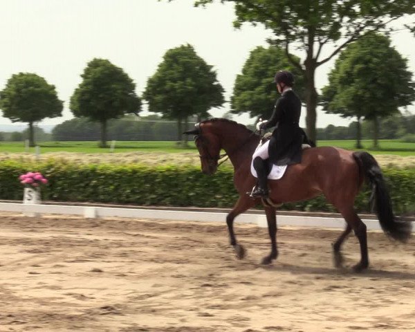 Reitturnier Seppenrade 2023