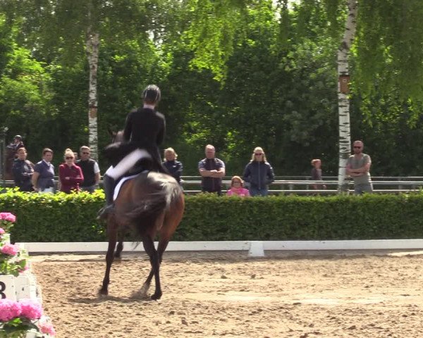 Reitturnier Seppenrade 2023