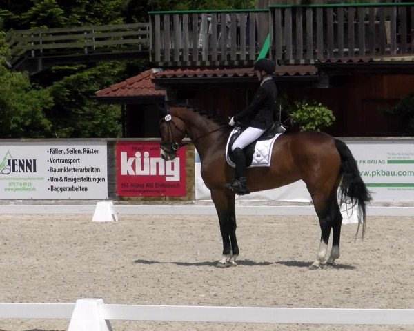 Reitturnier Schüpfheim 2023