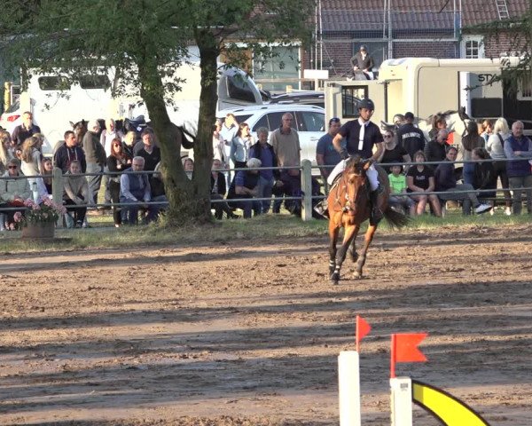 Reitturnier Mettingen 2023