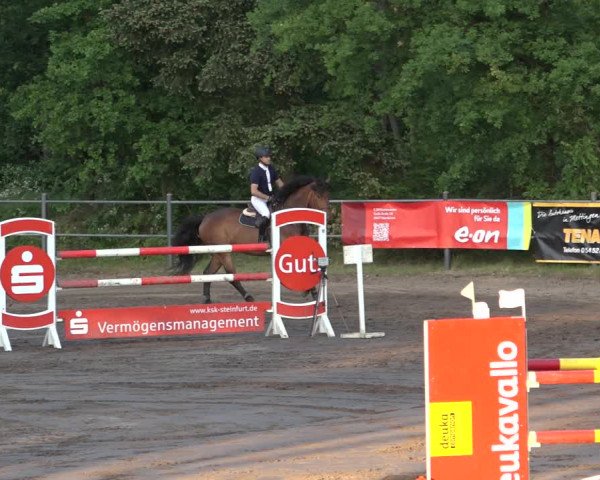 Reitturnier Mettingen 2023