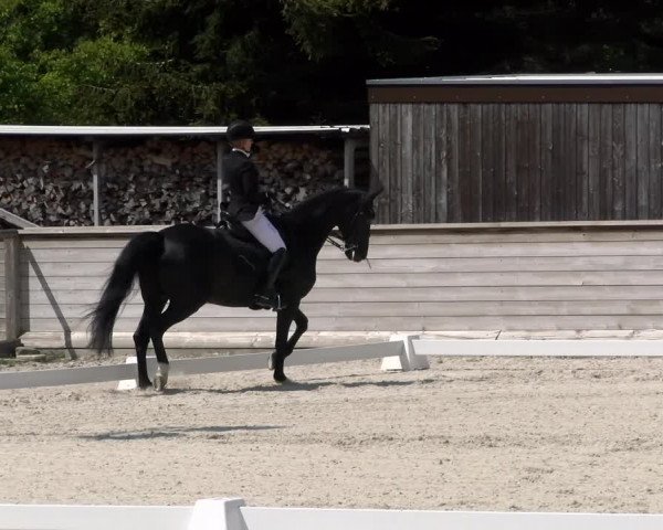 Reitturnier Schüpfheim 2023