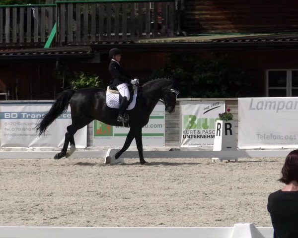 Reitturnier Schüpfheim 2023