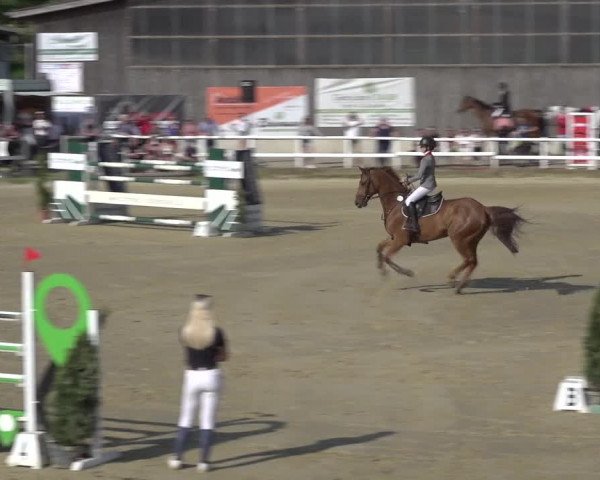 Reitturnier Siegen-Weidenau 2023