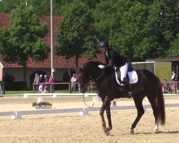 Reitturnier Everswinkel 2023