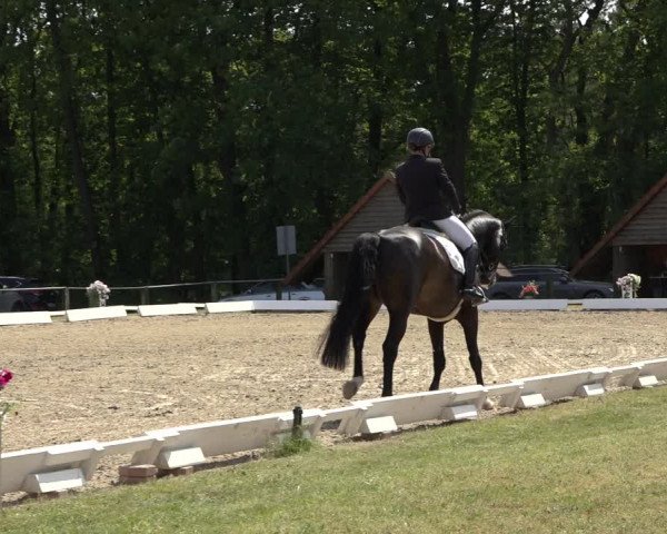 Reitturnier Mettingen 2023
