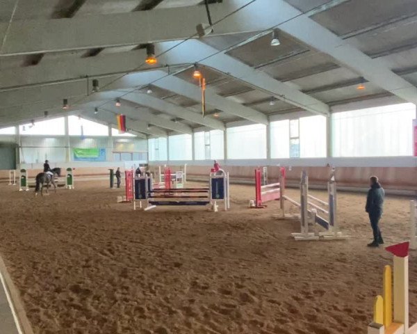 Reitturnier Lahr-Langenwinkel 2023
