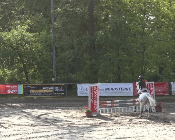 Reitturnier Mettingen 2023