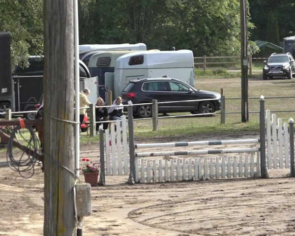 Reitturnier Mettingen 2023