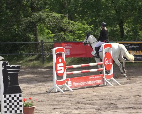 Reitturnier Mettingen 2023