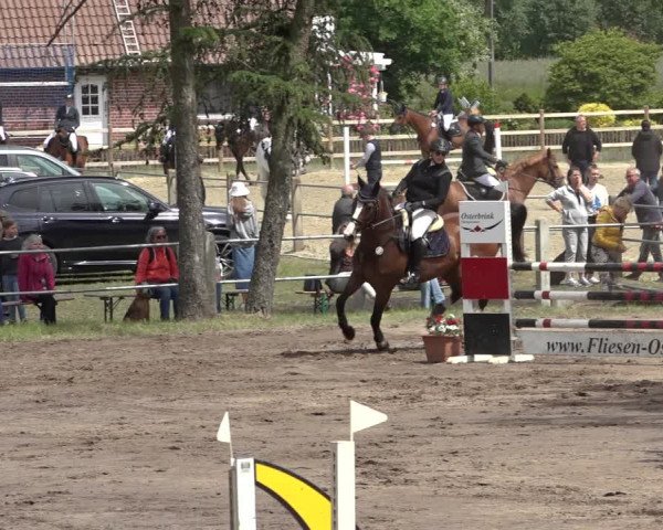 Reitturnier Mettingen 2023