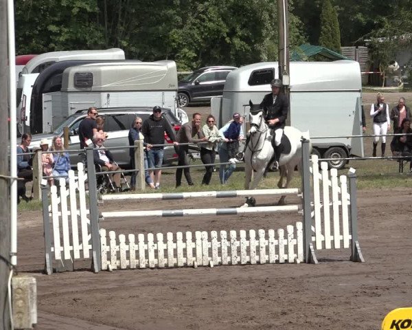 Reitturnier Mettingen 2023