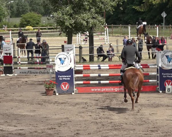 Reitturnier Mettingen 2023