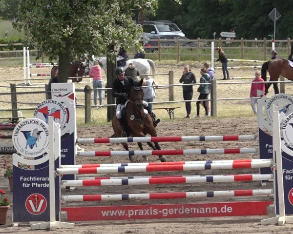 Reitturnier Mettingen 2023