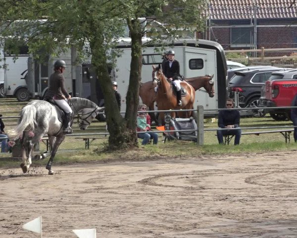 Reitturnier Mettingen 2023