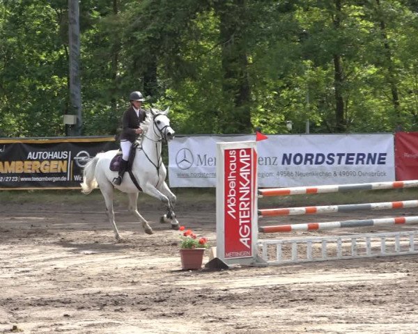 Reitturnier Mettingen 2023