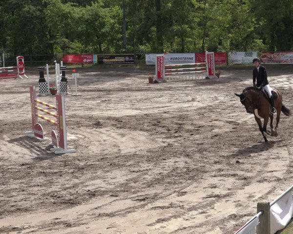 Reitturnier Mettingen 2023