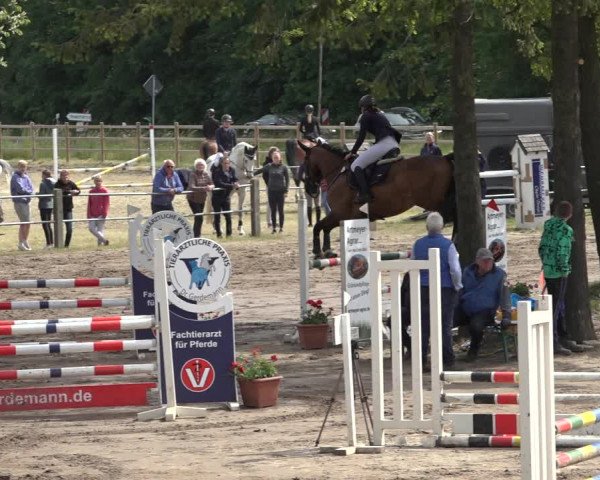 Reitturnier Mettingen 2023