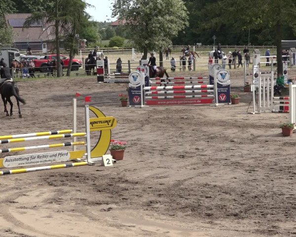 Reitturnier Mettingen 2023