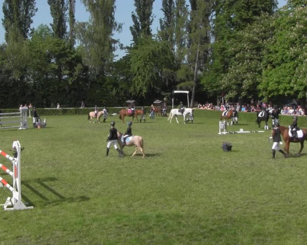 Reitturnier Westeregeln 2023
