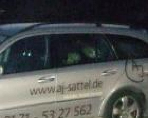 Anke Just Sattlerei Sattelmobil Just Sattlerei Sattelmobil