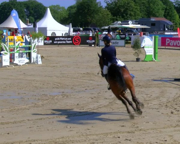 Reitturnier Borken Reitanlage Sportpferde Ehning 2023