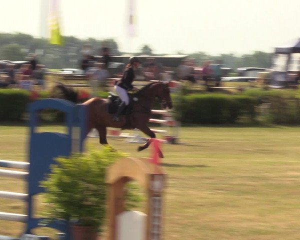Reitturnier Wustrow 2023