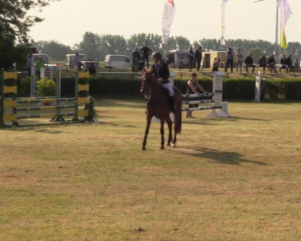 Reitturnier Wustrow 2023