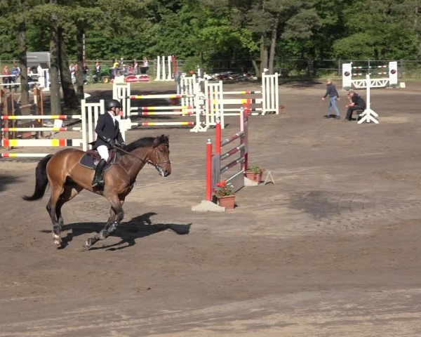 Reitturnier Mettingen 2023