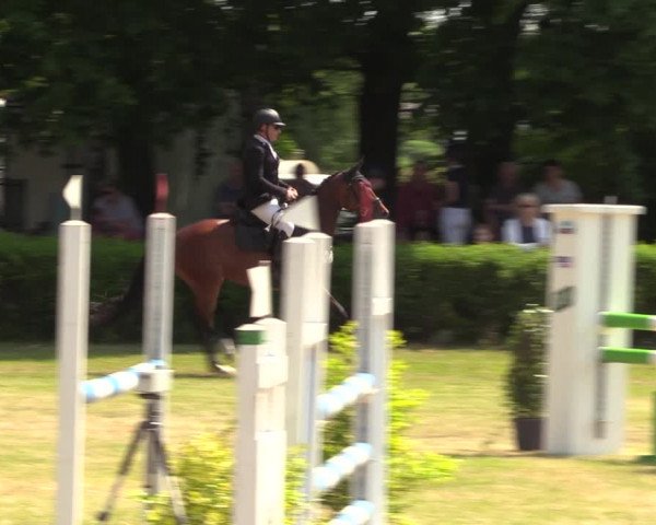 Reitturnier Wustrow 2023