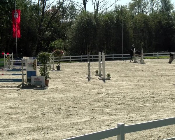 Reitturnier Isny-Rohrdorf 2021