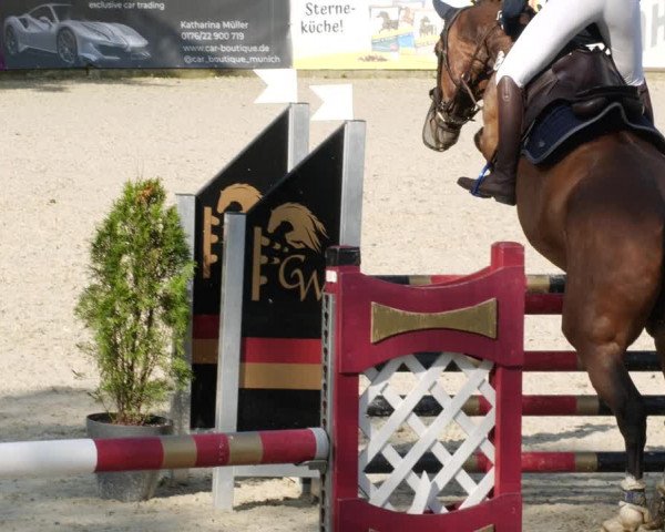 Reitturnier Karlsfeld/Obb. 2023