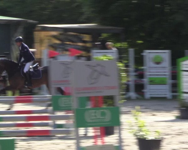 Reitturnier Bochum 2023