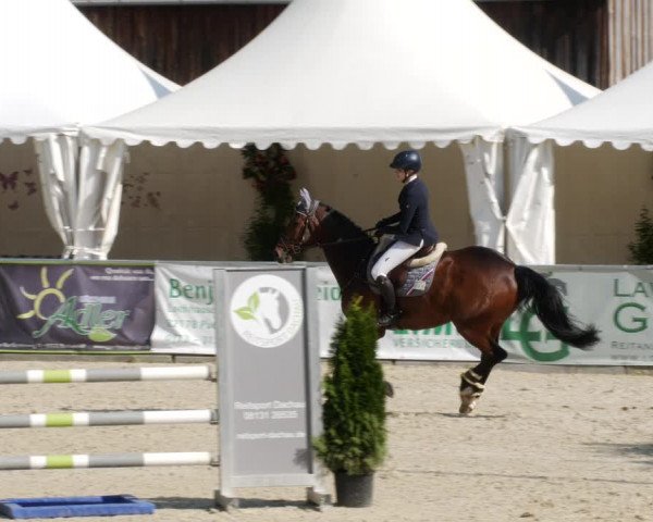 Reitturnier Karlsfeld/Obb. 2023