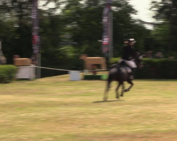 Reitturnier Wustrow 2023